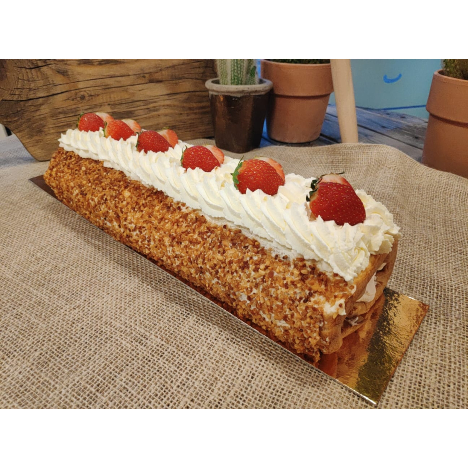 Bakpakket Biscuitrol