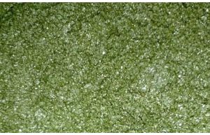 Glitter groen 10 gram
