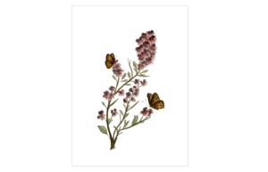 Kaart Bloementak met vlinders