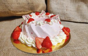 Bakpakket Dessert van Bavarois (incl. vorm)