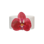 FunCakes Eetbare Papieren Bloemen Deluxe Orchidee Rood Medium pk/10
