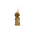 Kaart Hond met feestmuts